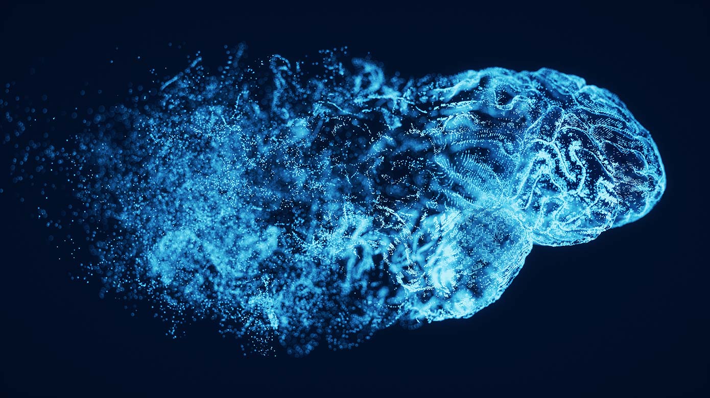 dissolving digital brain